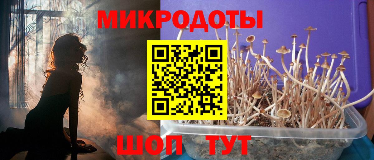 Галлюциногенные грибы мухоморы  Вход с VPN  Курчатов 