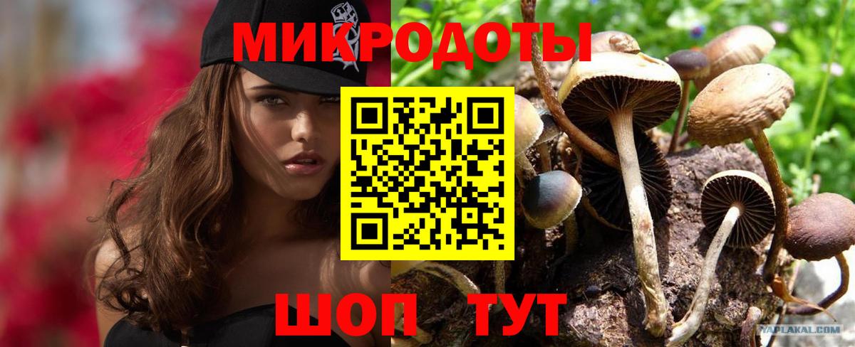 Галлюциногенные грибы мухоморы Курчатов